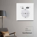 Miniatyrbilde 4 av 4: EU-standard 16A Vegglader Adapteruttak USB Type A Type C Strøm Schuko Stikkontakt