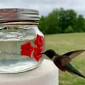 Miniatyrbillede 2 af 5: Mason Jar Kolibri Foder med 3 Porte, Lille Fugl Vild Fugl Foder