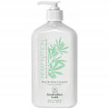 Miniatyrbillede 1 af 4: Hemp Nation Pære Jasmin Solbrunforlænger 532 Ml