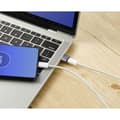 Miniatyrbilde 4 av 4: USB 2.0-adapter [1x USB 2.0 Type A-plugg - 1x USB-C®-kontakt] Aluminiumplugg C531082