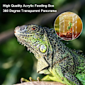 Miniatyrbillede 5 af 5: Insektfodringsboks Akryl Terrarium Beholder til Skorpion Frø Husdyr Reptil Habitat Krybende Bærbar Anti-flugt Design -FD2-