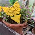 Miniatyrbilde 1 av 5: 100-pakning fluefanger / Limfelle【mo】-AD4-