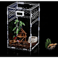 Miniatyrbillede 1 af 5: Insektfodringsboks Akryl Terrarium Beholder til Skorpion Frø Husdyr Reptil Habitat Krybende Bærbar Anti-flugt Design -FD2-
