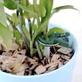 Miniatyrbillede 3 af 5: Planteklemmer / Clips - 108 stk_QQ -AD6-