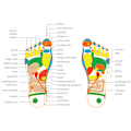 Miniatyrbillede 3 af 5: TENS EMS Fodmassage | Cirkulationstræner-AD8-