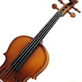 Miniatyrbillede 3 af 4: Sort Violin Gribebræt i Ebenholt Træ - Fuldstørrelse