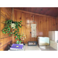 Miniatyrbild 3 av 5: Växthängare, 6 stycken Hängande Planter Blomkruka Växtställ Korg Jute Rephållare för inomhus utomhus 90cm