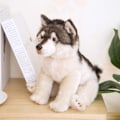 Miniatyrbillede 3 af 4: 27cm Realistisk Grå Ulv Hund Husky Plyslegetøj