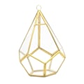 Miniatyrbillede 1 af 2: Hængende Glas Terrarium Moderne Kunstnerisk Vægskulptur Tåreformet Diamant Geometrisk Polyh