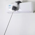 Miniatyrbild 4 av 5: Enkel Teleskopisk Dammvippa Multifunktionell Dammsugningsverktyg för Kök Studie