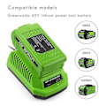 Miniatyrbild 5 av 5: 40V litiumbatteriladdare för Greenworks 29482 G-max 40V litiumjonbatteri 29472 29482 29652 G40825