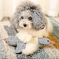 Miniatyrbillede 4 af 5: Plush Hundelegetøj, Blødt Kvæk Kvæk Legetøj Hund, Interaktivt Trænings Tyggelegetøj Til Hvalp Kæledyr