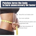 Miniatyrbild 5 av 5: Perfect Body Shaping Patch - Enkel kroppsformning - Chengdu [D] 1 ask 1 box