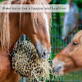 Miniatyrbild 2 av 5: 2 st Slow Feed Hönsnät Hönsfoder Hönsäck Hönsnät För Hästar Slow Feeder Hönsnät 40 Tum Längd Wit