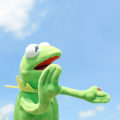 Miniatyrbillede 2 af 5: 40 cm Kermit Frøen Sesame Street Muppet ONE ITEM Full Body Do green one size