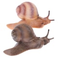 Miniatyrbillede 2 af 5: Simulering af dyreinsektmodel minidyrsneglens vækstcyklus o dark 02
