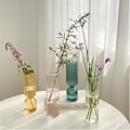 Pikkukuva 2 / 5: Nordic Glass Maljakko Pienet Lasimaljakot Kukka-asetelma Etusivu Gla Transparent 17*4cm