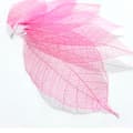 5~9CM*2~3.5CM Pink