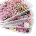 Miniatyrbillede 4 af 5: Tørrede blomster Naturlig blomsterkunst Craft Scrapbooking Resin Jewel Multicolor 1Pc