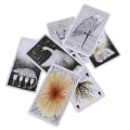 Pikkukuva 7 / 8: 78 kpl Wild Unknown Tarot Deck Rider-Waite Oracle Set Fortun Multicolor one size