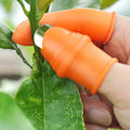 Miniatyrbillede 6 af 8: Thumb ter Haveredskaber Beskæringssaks Haveplukkeseparat Woman A2