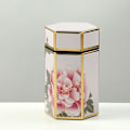 Miniatyrbilde 1 av 8: Sekskantet tinnplate Oppbevaringsboks Lufttett Container Tank Veske for StyleI L StyleI L