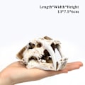 Miniatyrbillede 1 af 6: Simulering Resin Skull Ornaments DIY Aquarium Fish Tank Decora 6 6