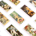Pikkukuva 4 / 5: Decameron Tarot Cards Prophecy Ennustaminen Deck Party Entertainm Multicolor one size