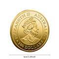 Miniatyrbillede 6 af 6: Forgyldt australsk kænguru 1OZ Elizabeth II Australien Souv A One Size