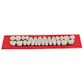 Miniatyrbilde 4 av 8: 28 stk Akrylharpiks Protese Øvre Nedre Nyanse 23# A2 Dental one size