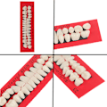 Miniatyrbilde 6 av 8: 28 stk Akrylharpiks Protese Øvre Nedre Nyanse 23# A2 Dental one size