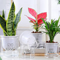 Miniatyrbilde 2 av 8: Mini Selvvannende Blomsterpotte Plast Potter Selvvannende Potte L