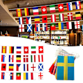 Miniatyrbild 5 av 5: Dekorationer för fotbolls-EM 2024, vimplar, snygga väggdekorationer, rekvisita för butik/bar (FMY) 1 String