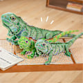 Pikkukuva 2 / 3: Lisko Kameleontti Pehmeä Plussinen Leikkieläin Teddy Täytetty Eläin Vauva Lapset Lapset Lahja Uusi-YuJia (FMY) Lizard A 65cm