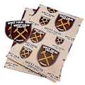 Miniatyrbilde 1 av 5: Crest Gavepapirark (FMY) Claret Red/White One Size