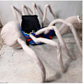 Miniatyrbilde 2 av 3: Otwoo Tog Spider Thomas Plysj Tog Spider Thomas Plysjleke (FMY)