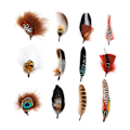 Miniatyrbillede 1 af 4: Hattefjer Cowboy Hat Feather til Fedora Hatte Kostume Julefest Hatte Style A (FMY) Style C Total length 10cm-15.5cm