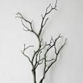 Miniatyrbillede 5 af 5: Wharick Lille Tørret Træ Kunstig Gren Plante DIY Håndværk Bryllup Fest Hjem Indretning (FMY) Coffee