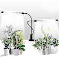Miniatyrbilde 1 av 5: Vekstlys, sollys Hvit 50w 84 LED Dobbelt Hode Klips Plantelys, 4/8/12h Timer 5 Justerbare Lysstyrke Nivåer  (FMY)