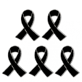 Miniatyrbild 1 av 5: Set med 5 Bandbroscher Snygg Design Band Emblempins Legering Material WBT  (FMY) Black