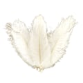 Miniatyrbillede 1 af 5: 10 stk. Strudsefjer Fjer Midterstykke Bryllup Fest Borddekoration 30-35cm  (FMY) White