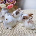 Pikkukuva 5 / 5: Miniatyyrirealistiset Karvaiset Kanit Figuriinit Simulaatiotila Eläin Mini Malli Eläväinen Pääsiäiskunikset Täytetty Eläin Rekvisiitta (FMY)