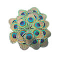 Pikkukuva 1 / 5: 20 kpl Peacock Feather - Upea ja silmiinpistävä Peacock Eyes -kuvio, luonnonhöyheniä DIY- käsitöihin ja koristeluun (FMY) 20PCS
