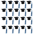Pikkukuva 1 / 5: 20 kpl Minihuopa Hattu Tasselit Juhlat Ylioppilas Viinipullo Topper Ylioppilasjuhlat Tarvikkeet  (FMY) Blue One Size