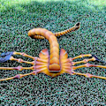 Miniatyrbilde 2 av 2: Halloween Facehugger Maske Alien Ansiktsdeksel Horror Skorpion Latexmaske Maskerade Hodeplagg Filmer Ytelse Tilbehør Cosplay Party Suppl  (FMY)