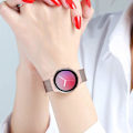 Miniatyrbillede 5 af 5: For Garmin Vivoactive/Garmin Vivoactive HR Spænde Mesh Rem Armbånd Smart Watch Rem (20mm)  (FMY) Multicolor Style E Other Smartwatch Model