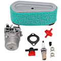 Miniatyrbillede 1 af 5: Karburator til plæneklipper 12.5 Hk Briggs&Stratton LMT 5-4993 (FMY)