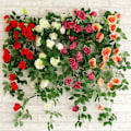 Miniatyrbillede 3 af 5: 2,4 meter Kunstig Rose Guirlande Blomster Blad Vinstok Hjem Bryllup Have Fest Dekoration (FMY) Red