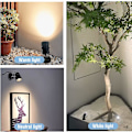 Miniatyrbild 2 av 5: 2 st LED-spotlights inomhus för växter, 3-färgs accentbelysning dimbar uppljus spotlightlampa med dimmerbrytare (FMY)