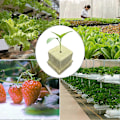 Miniatyrbillede 4 af 4: 100 stk. Stenulds Hydroponisk Dyrkningsmedie Starter Cubes Plant Cubes Haveartikler (FMY) 4X2.5cm